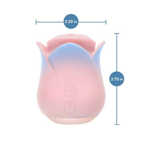Blush Collection Kissing Rose Pink - Image 8