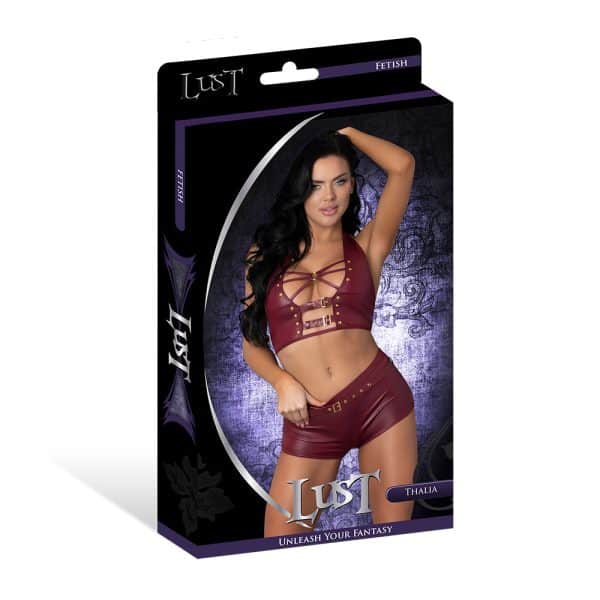 Lust Fetish Thalia Burgundy L/XL - Image 6