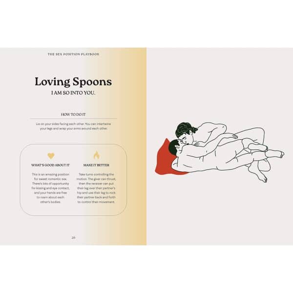 The Sex Position Playbook: 69 Positions for Incredible Pleasure - Image 4