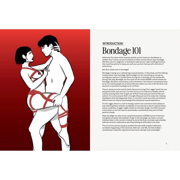 The Bondage Playbook: 31 Must-Know Knots and Ties for Bondage Beginners - Image 3