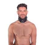 Prowler RED Leather Posture Collar L/XL