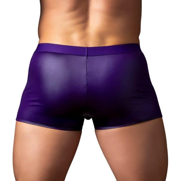Male Power Eggplant Crossover Short Plum S - Image 3