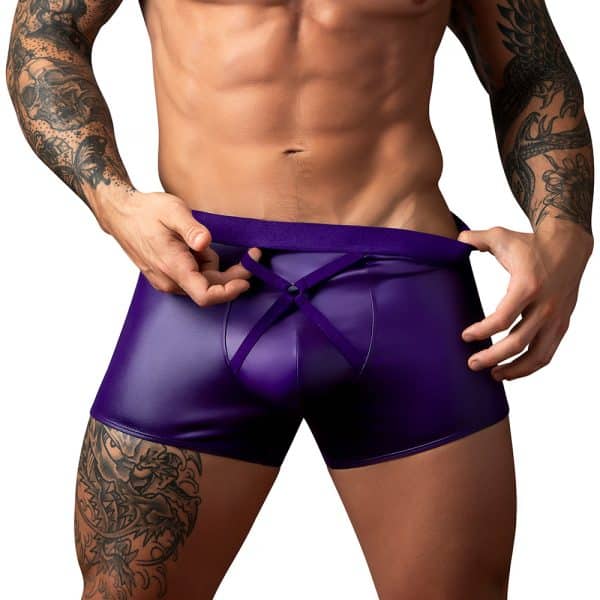 Male Power Eggplant Crossover Short Plum L - Image 2