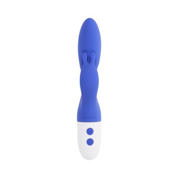 Evolved Funny Bunny Blue - Image 4