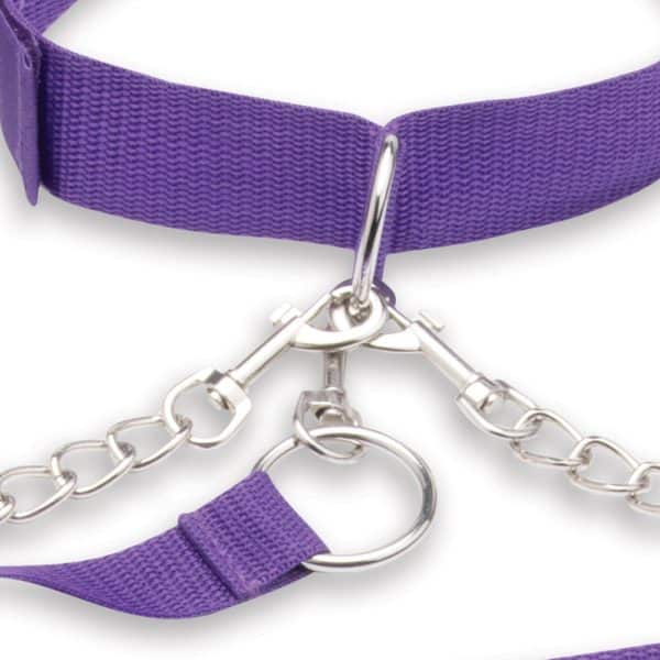 Lux Fetish Collar Cuffs & Leash Set with Removable Cuffs and Leash - Image 5