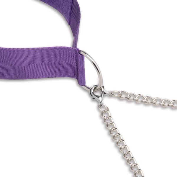 Lux Fetish Collar & Nipple Clamps - Image 6