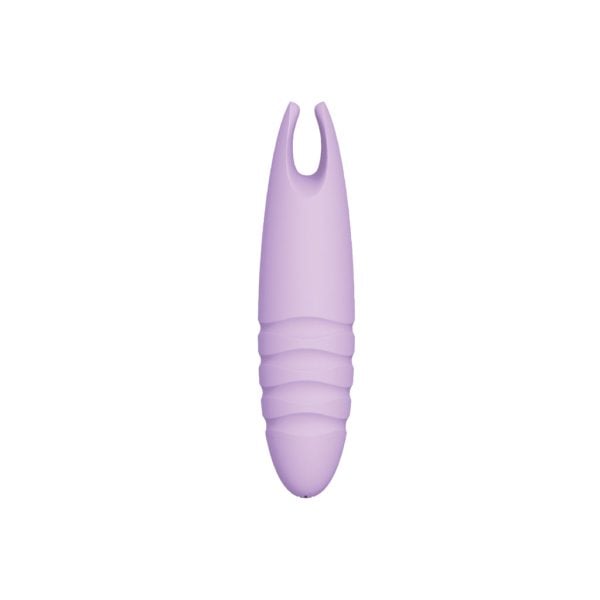 Sorbet Purple Passion Lavender - Image 2