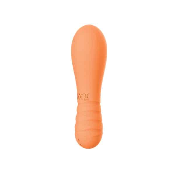 Sorbet Orange Gaze Orange - Image 3