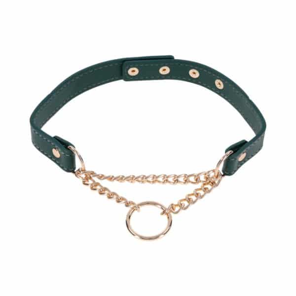 Sportsheets Sex & Mischief Indica Day Collar - Image 2
