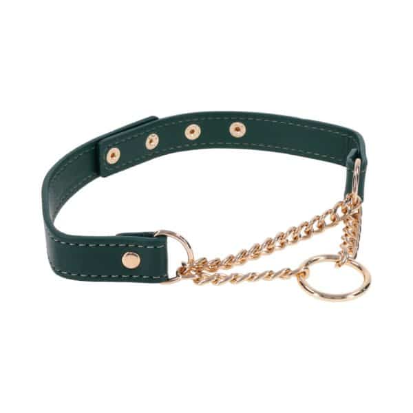 Sportsheets Sex & Mischief Indica Day Collar - Image 4