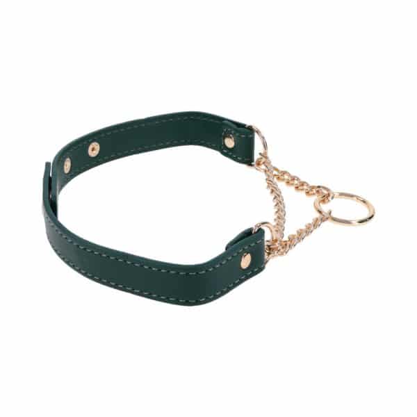 Sportsheets Sex & Mischief Indica Day Collar - Image 5