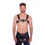 Prowler RED Bull Harness Black with Metal Fittings L
