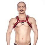 Prowler RED Bull Harness Black/Red S