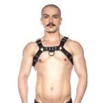 Prowler RED Bull Harness Black XL