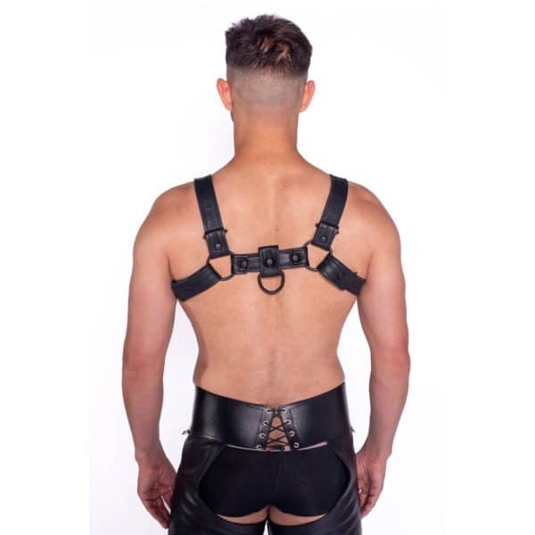 Prowler RED Bull Harness Black with Metal Fittings XL - Image 4