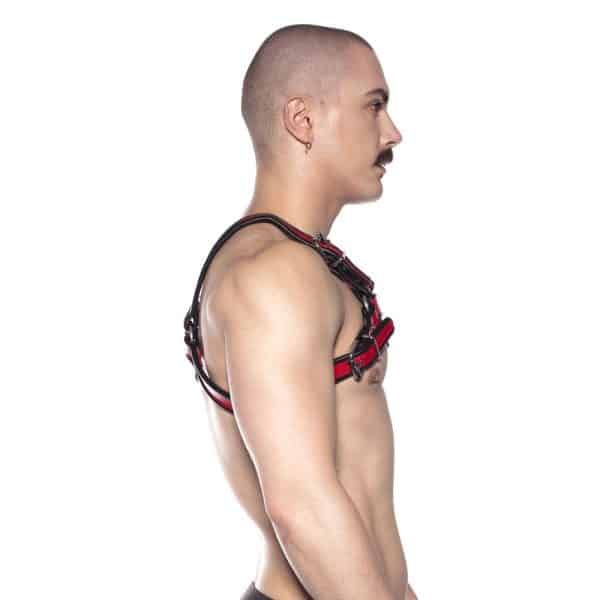 Prowler RED Bull Harness Black/Red XL - Image 2