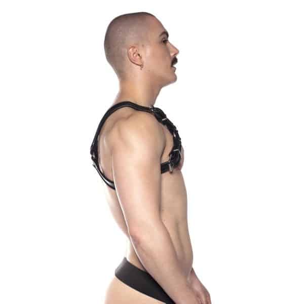 Prowler RED Bull Harness Black 2XL - Image 2