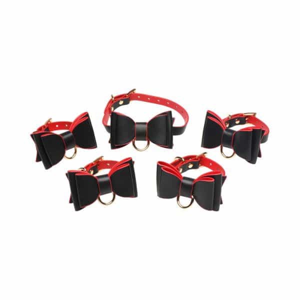 Master Series Goth Bondage Set - Image 5
