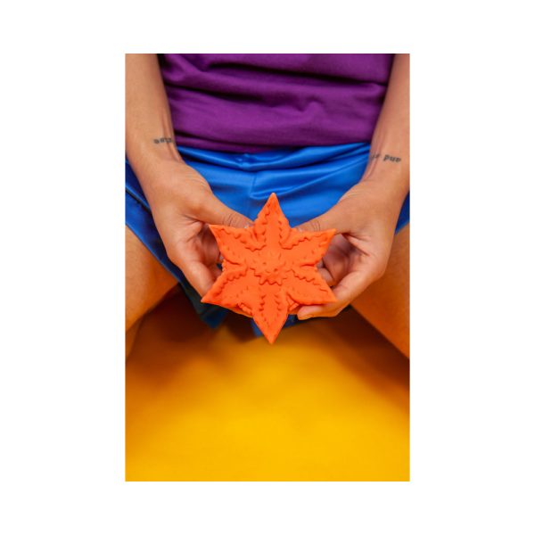 Cute Little Fuckers Starsi Coral - Image 4