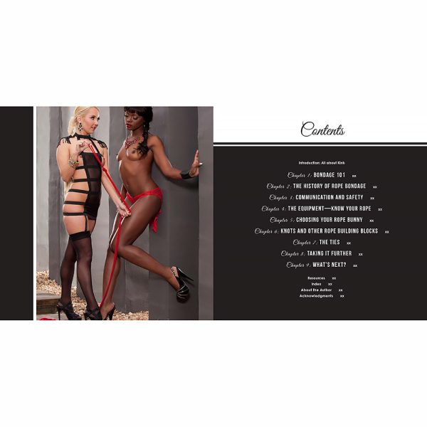 Bondage Basics - Image 2