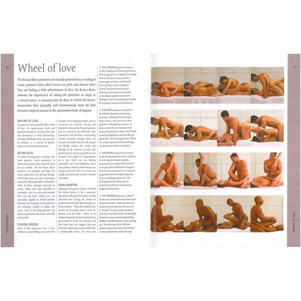 Kama Sutra: A Modern Guide to the Ancient Art of Sex - Image 4